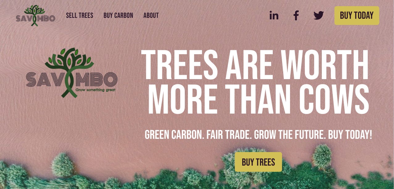 The Next Wave of ReFi Is Here! │ S3Ep25 🎧