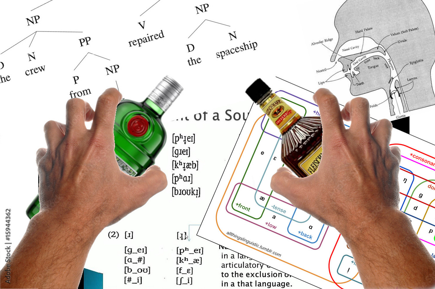 There are two hands stretching out from your perspective. One holds a bottle of Tanqueray Gin, the other a bottle of Fleischmann's Whiskey. There are various Linguistics diagrams behind them.