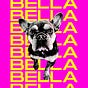 Bella The Frenchie's avatar