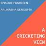 A Cricketing View