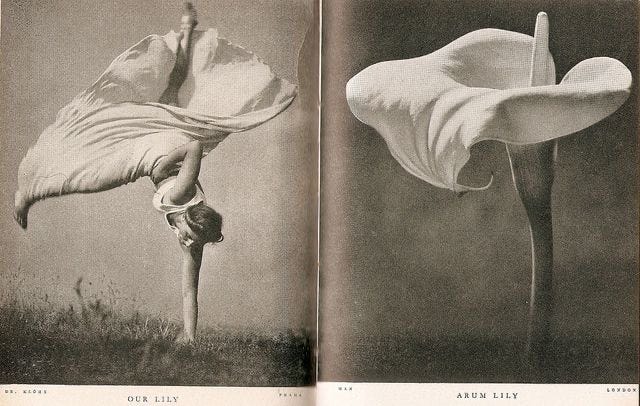 Image of a woman dancing next to a flower that looks like her figure Image of a woman dancing next to a flower that looks like her figure
