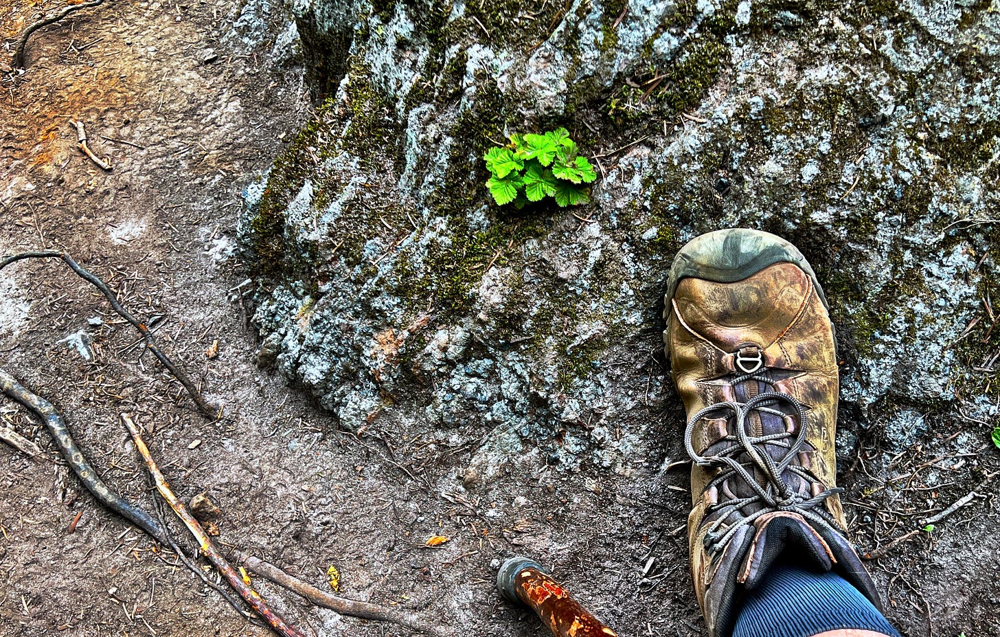 a picture of a person wearing a boot on a rocky trail