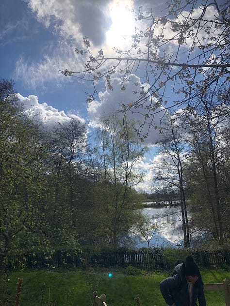 Images of Easter - a pond, flowers a cake