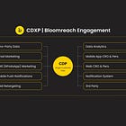 Bloomreach Engagement Is Amazing! Here Is Why...