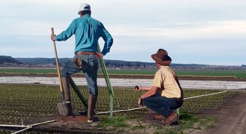 Remaking Men - Nationalist Policymaking for the Future of Masculinity