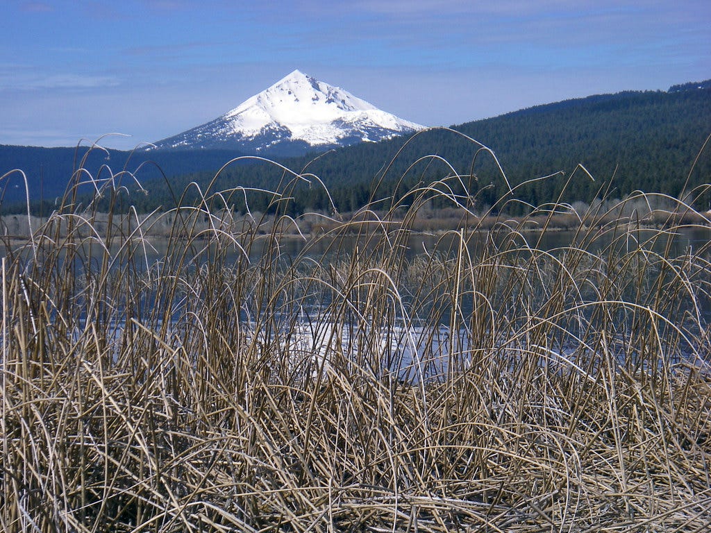 Mt. McLoughlin from Upper Klamath Lake - Shelley Snow Mt. McLoughlin from Upper Klamath Lake - Shelley Snow