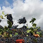 Frappato Feels Fresh and Friendly