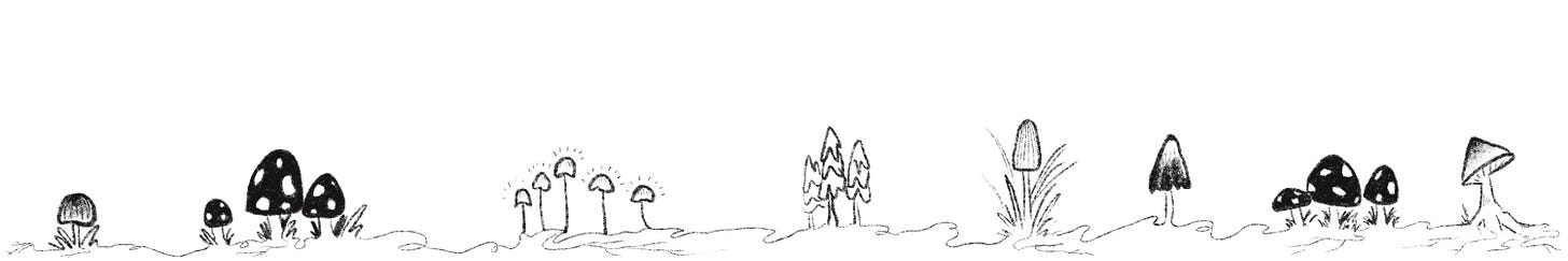 A black and white illustration of small mushrooms white is very short and wide.