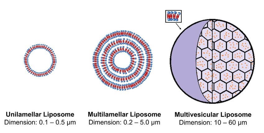 Você não sabe o que é Drug Delivey. Te explico. Você não sabe o que é Drug Delivey. Te explico.