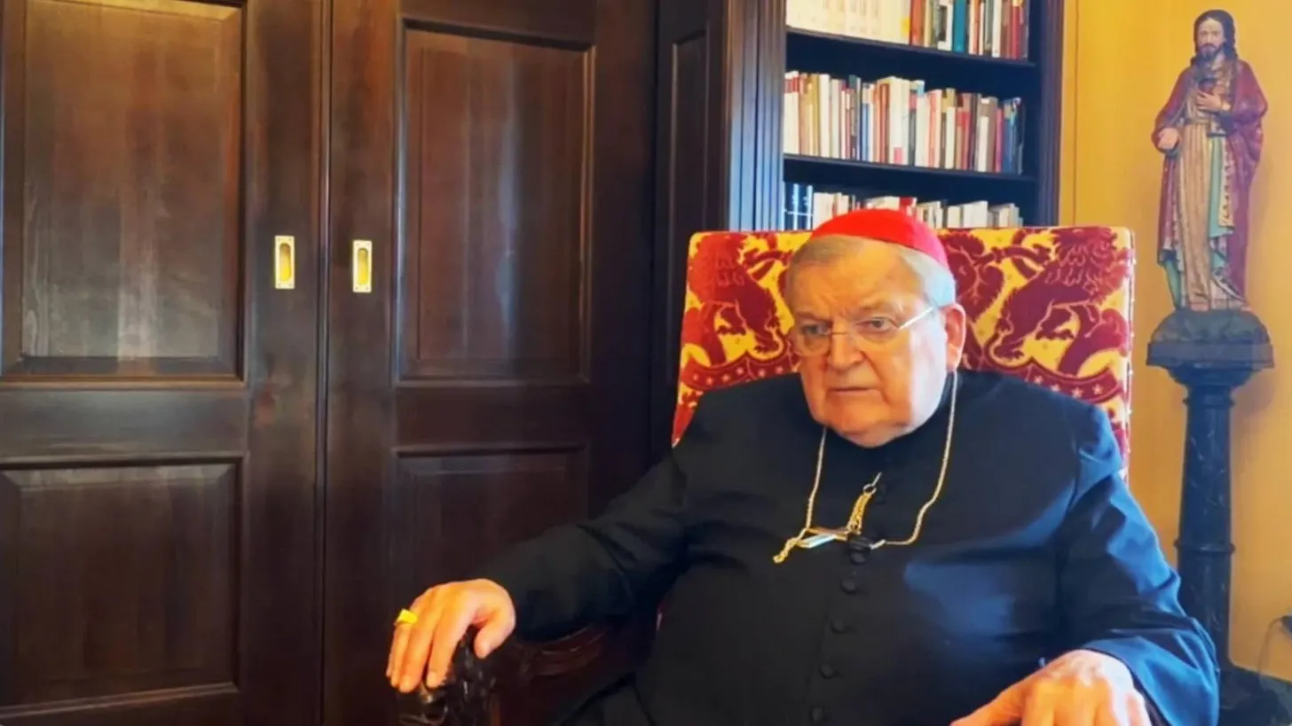 Cardinal Burke: “Synodality Has to Be Stopped”