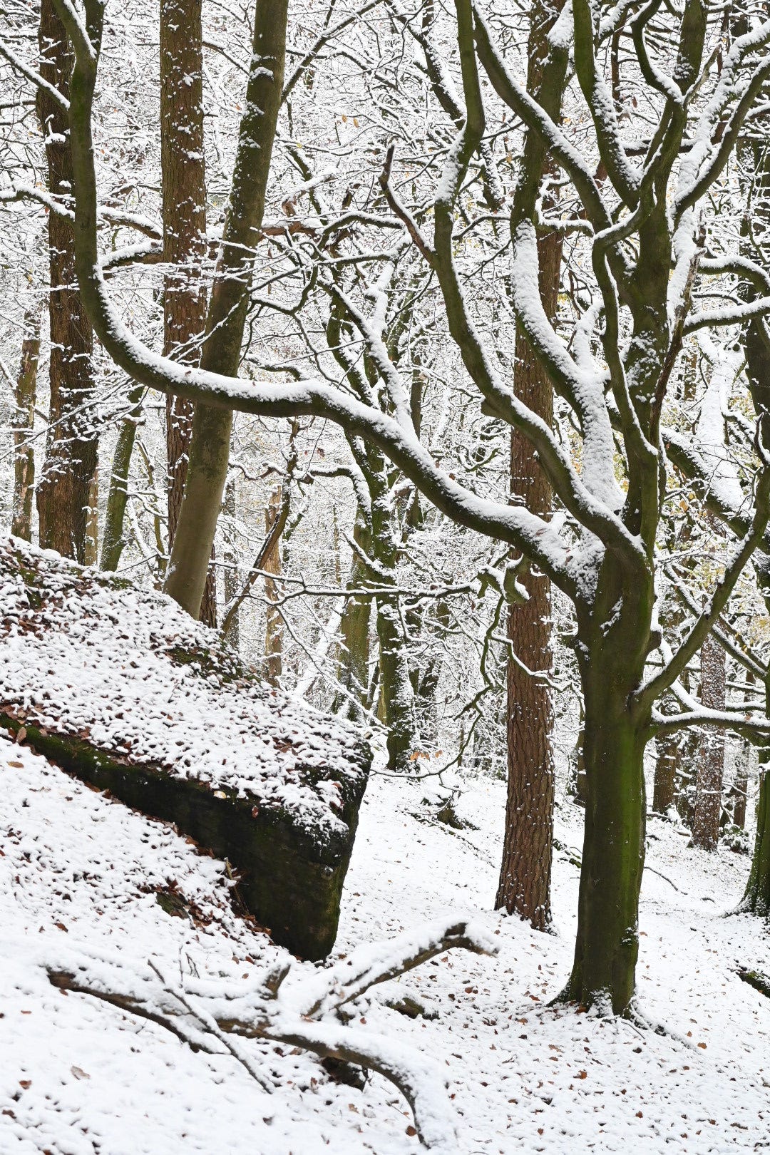 rock in hardcastle crags in the snow