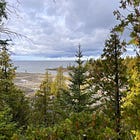 China Cove Becomes Aah Mahwi Nibi: Shoreline and Habitat Now Permanently Protected by NCC