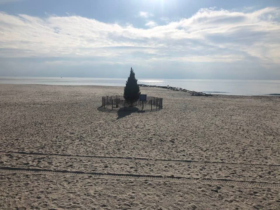 May be an image of horizon, ocean, monument, beach and twilight