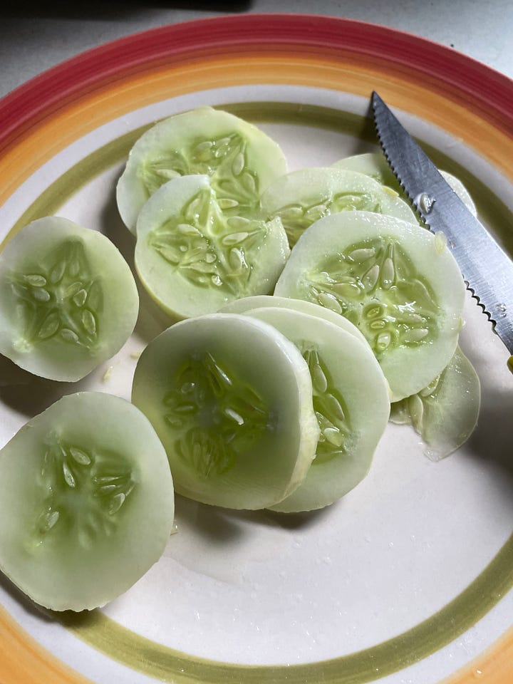 White cucumber on the vine, then cut into pieces