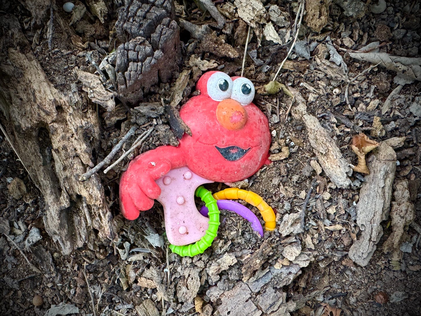 Baby Elmo toy on the forest floor