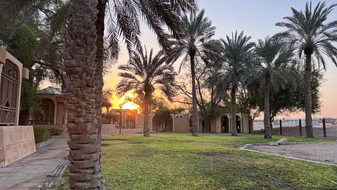 sunrise and palm trees