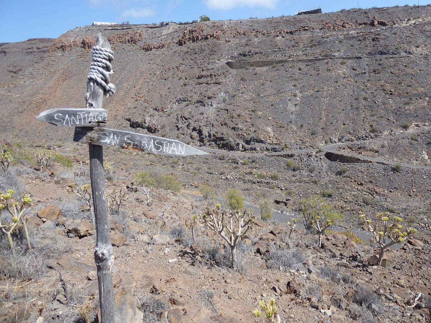 The fragile forests of La Gomera