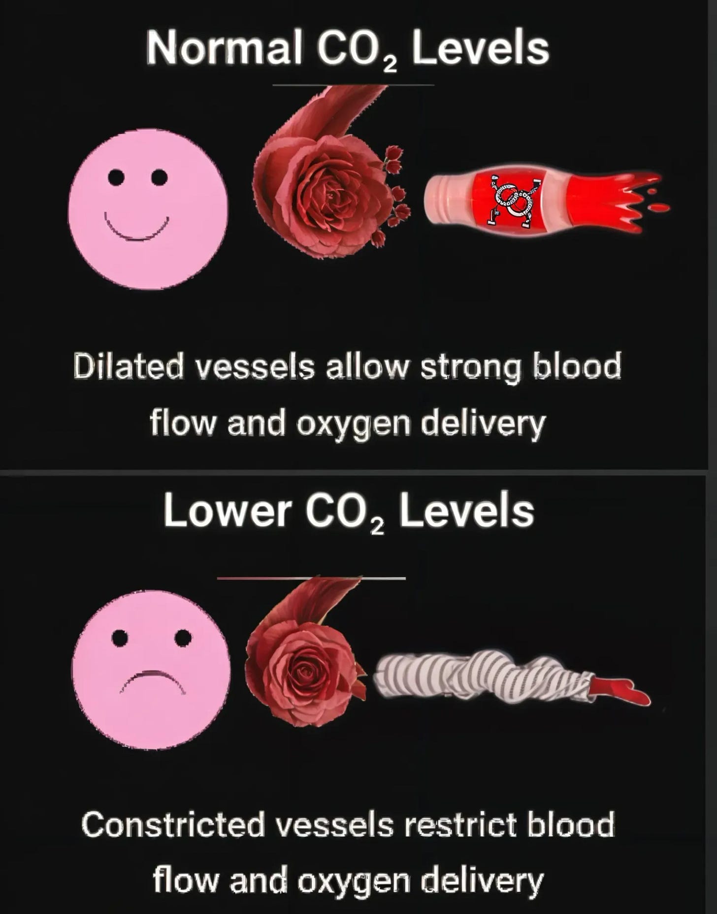 The upscaler turned the inside of the vessels rosy 😄 The upscaler turned the inside of the vessels rosy 😄