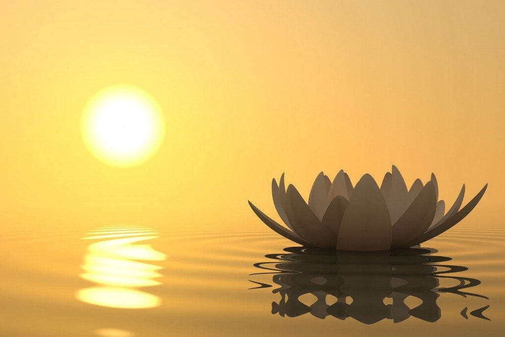meditation meditation