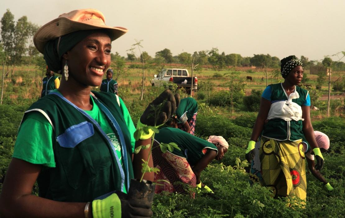 Rokiatou works with rural communities confronted with the impacts of deforestation. Rokiatou works with rural communities confronted with the impacts of deforestation.