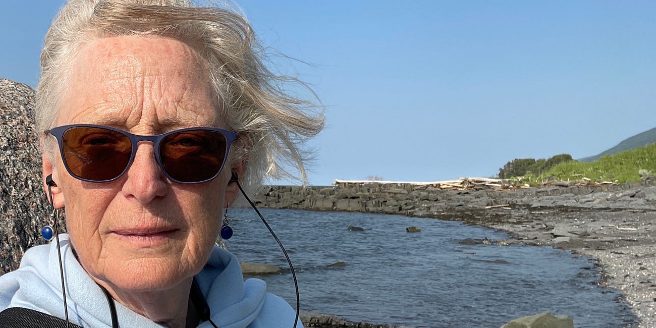 The Alice Zorn Interview