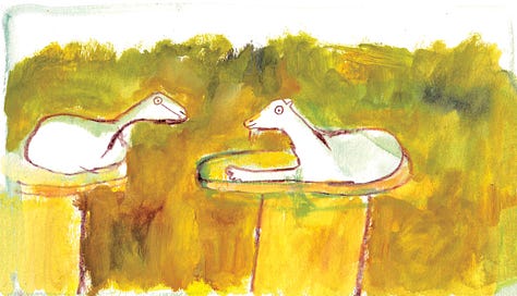 goat illustrations by Beth Spencer