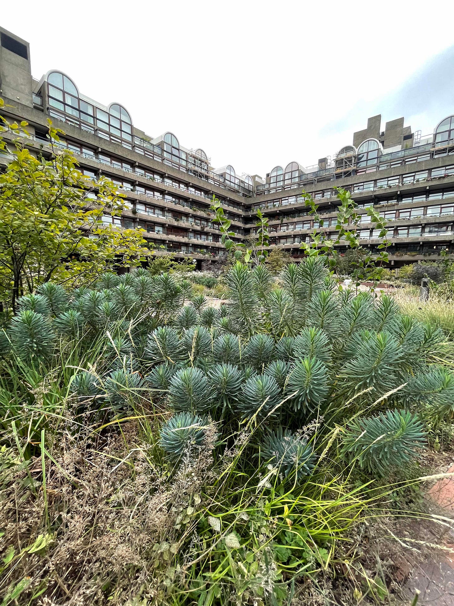 Barbican Estate Garden Courtyard Barbican Estate Garden Courtyard