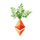 Bitcoin_Schmitcoin’s Substack