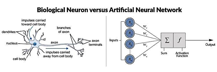 Formal Neuron Formal Neuron