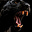 black jag energy's avatar