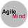 Agile Mind's Substack