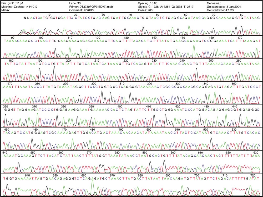 Human Genome sequence Human Genome sequence