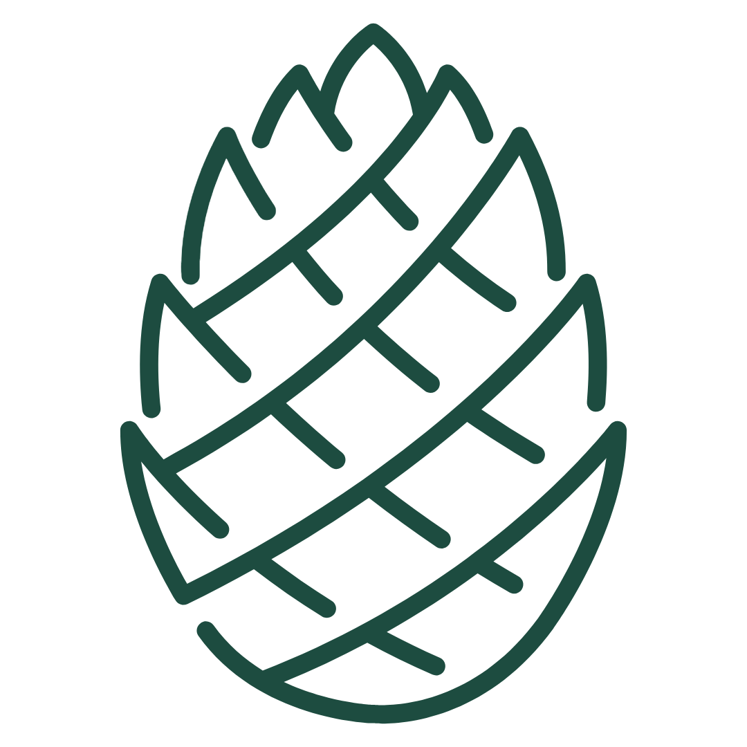 Loblolly Press on Substack