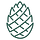 Loblolly Press on Substack