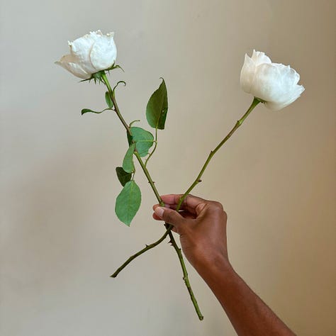 Pave White Roses DIY: Pavé style rose arrangement - by Jasmine Neal