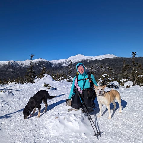 Pictures of Liz, Seth, and the dogs hiking snow-covered mountains