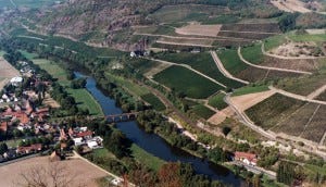 German vineyards
