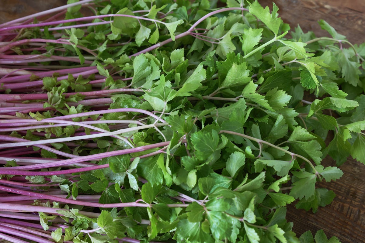 celery on a table celery on a table