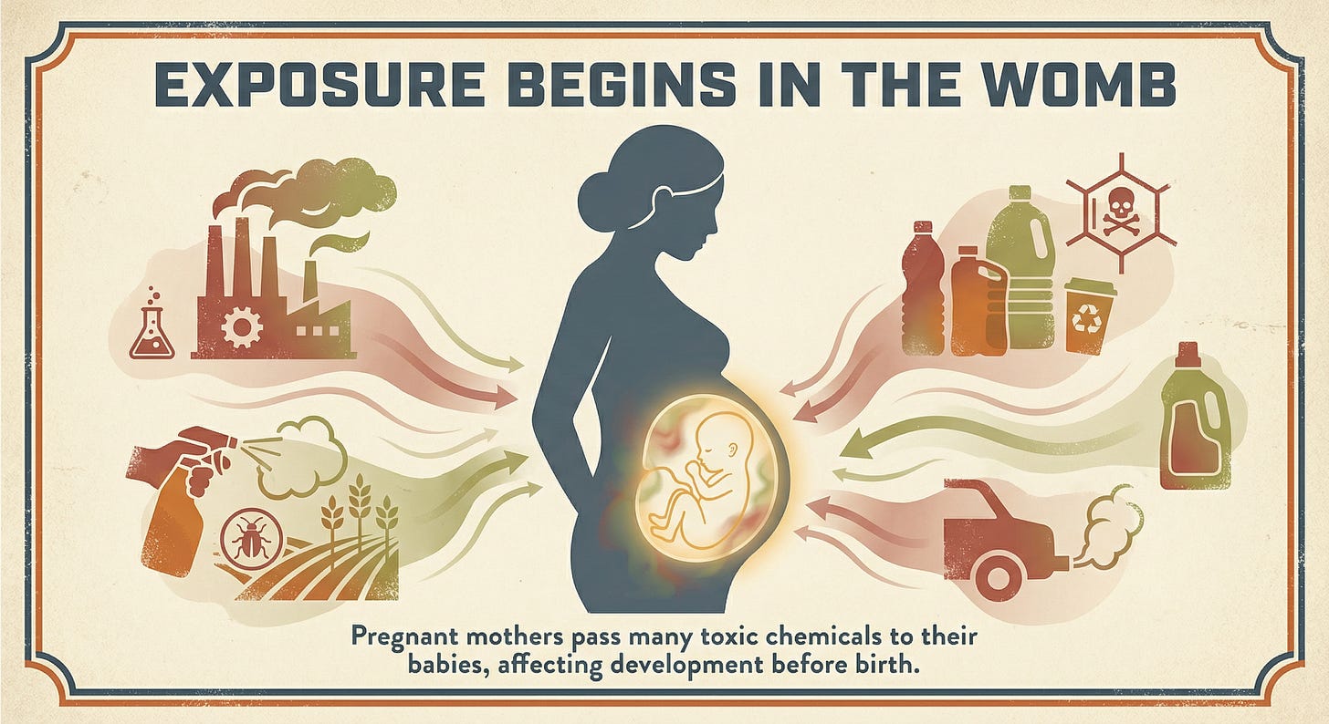 Retro-style public health graphic showing toxic chemical exposure beginning in the womb. Retro-style public health graphic showing toxic chemical exposure beginning in the womb.