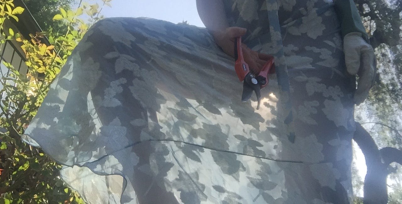 I got F*cked by a Mischievous Goblin