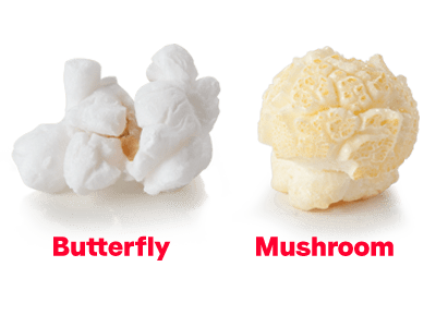 Mushroom vs. Butterfly Popcorn - Popcornopolis Mushroom vs. Butterfly Popcorn - Popcornopolis