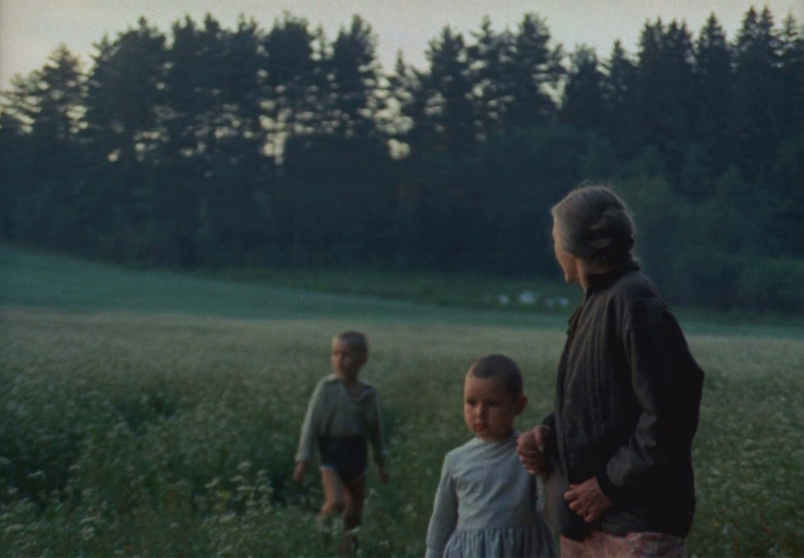 They Shoot Pictures #29 – ZERKALO, or THE MIRROR (1975), dir. Andrei  Tarkovsky | An Eye in the Head of a Poet