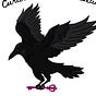 curious crow's avatar