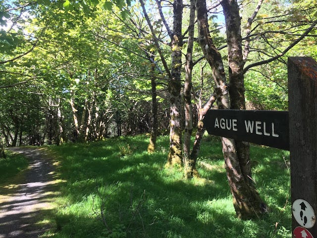 IMG_0132.jpg IMG_0132.jpg