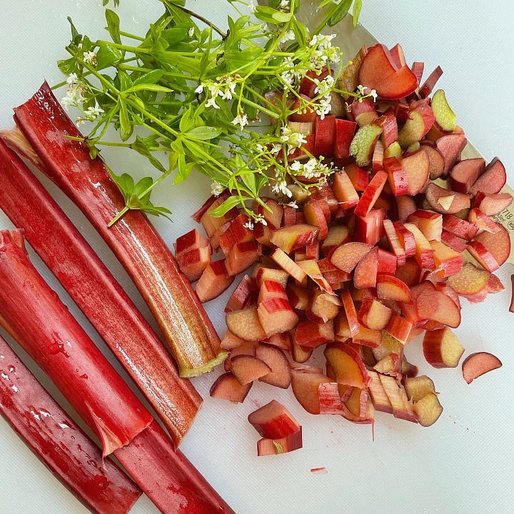 rhubarb tonic