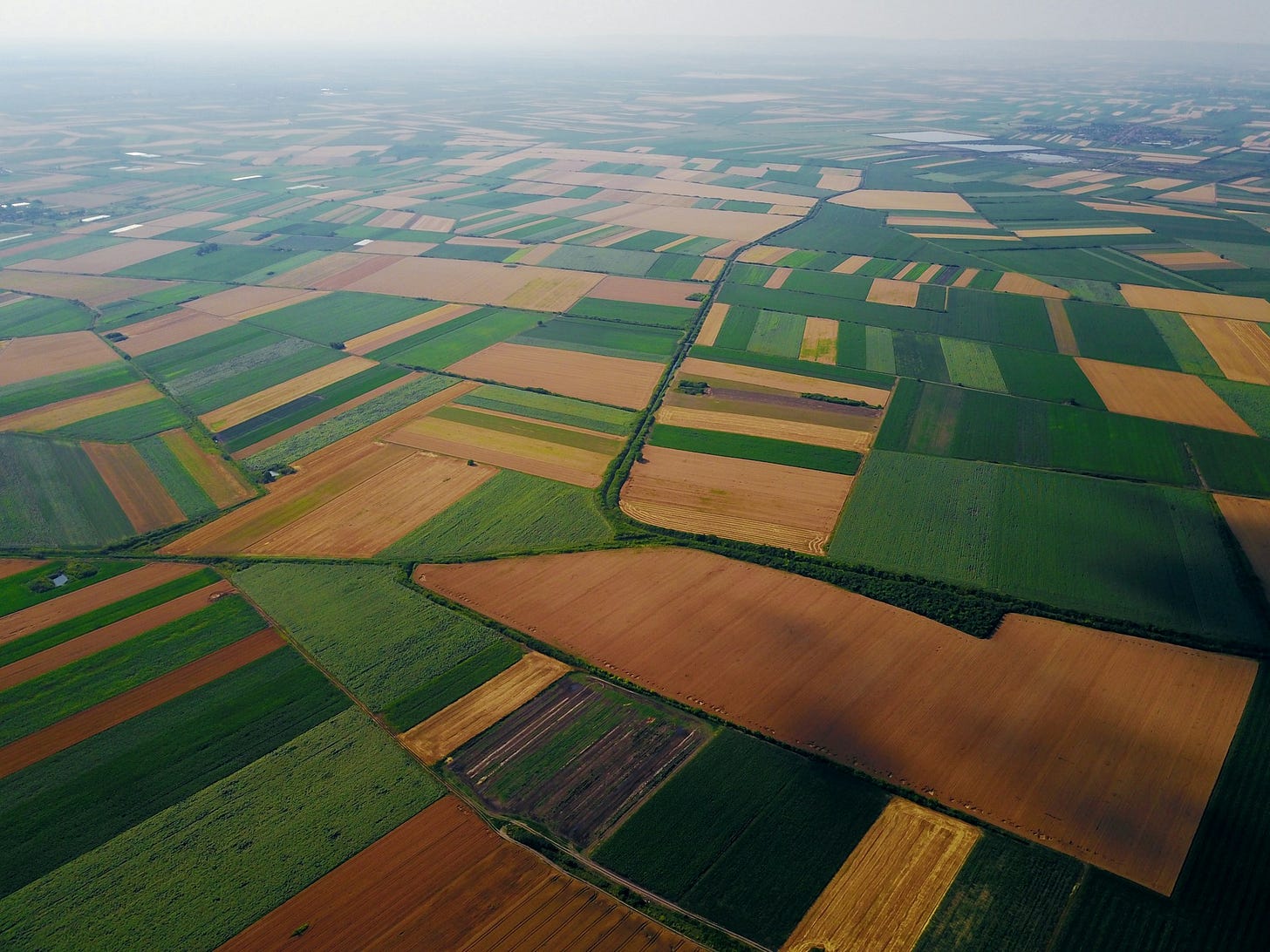 Aerial view of farms. Credit: Getty Images