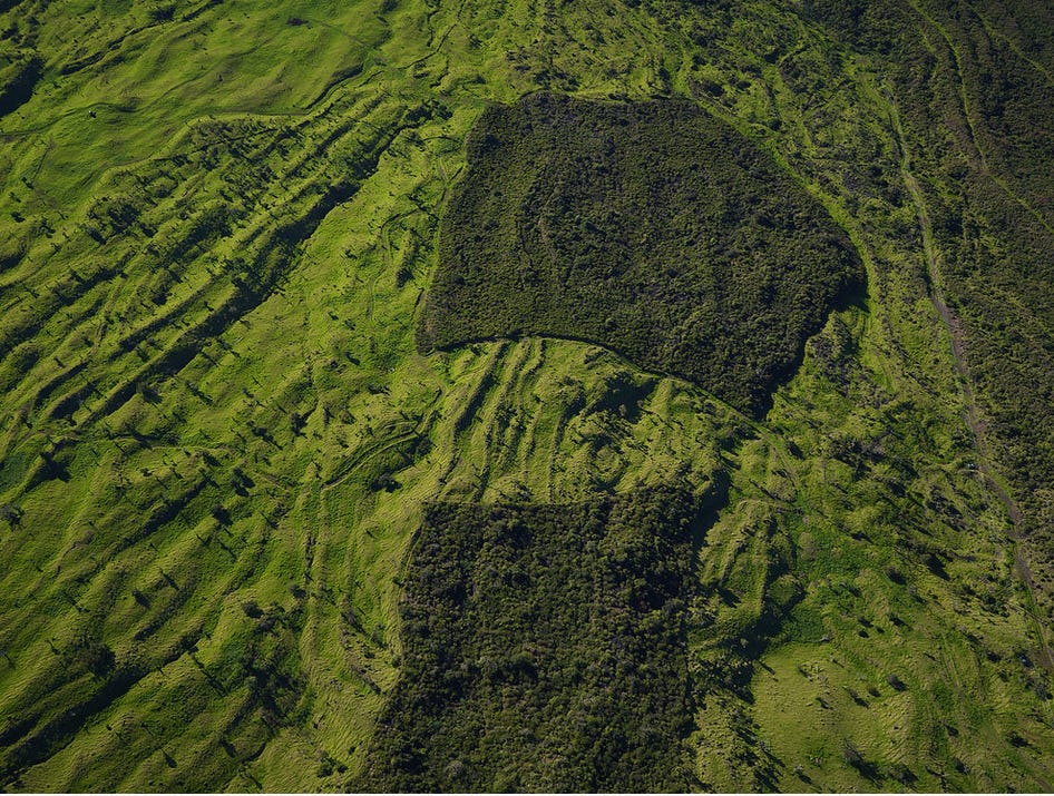 Aerial shot of the side of a steep mountain. Most of the land is denuded, with only a tree here and there, but in the middle of the photo there are two large squares filled with thick dark green foliage.