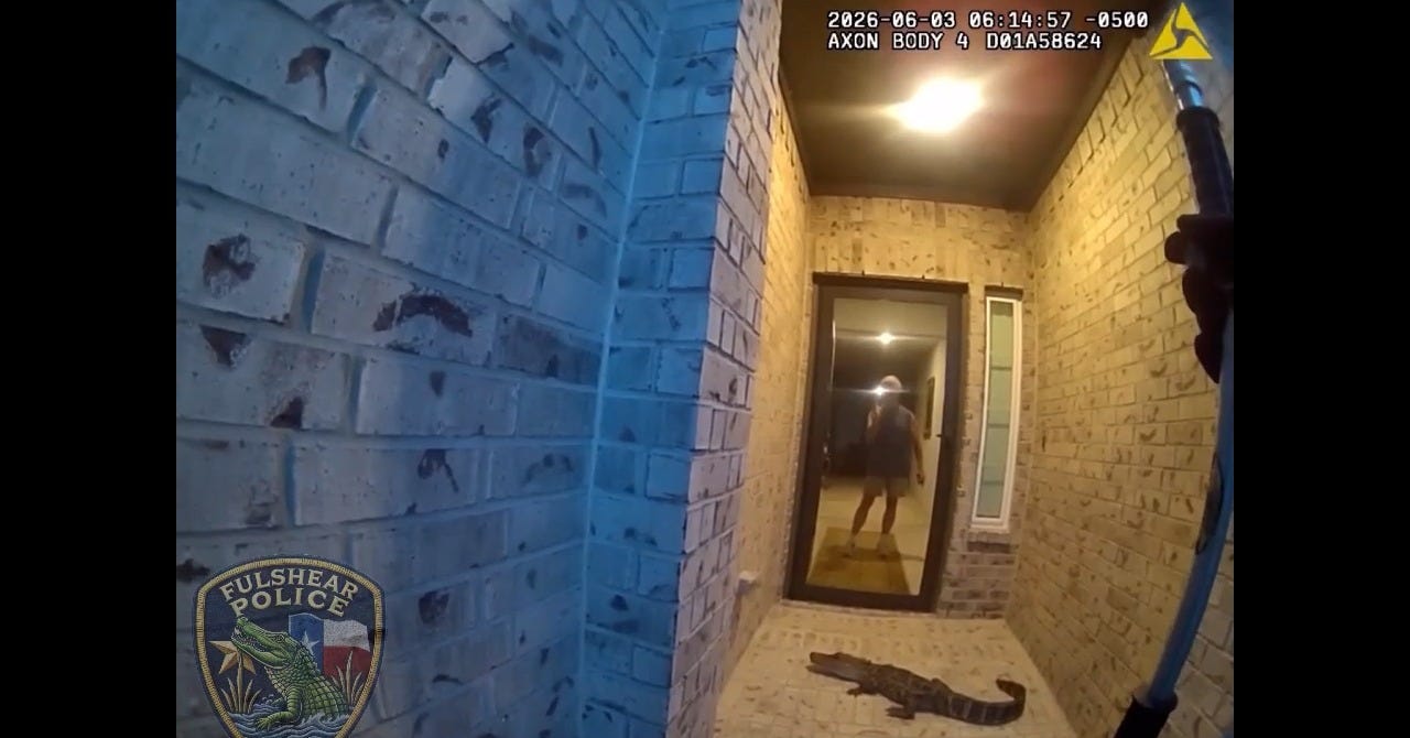 Thought it was an Amazon package': Man wakes to find alligator on his porch | WFLA Thought it was an Amazon package': Man wakes to find alligator on his porch | WFLA