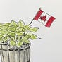 Anu MacIntosh-Murray🇨🇦's avatar