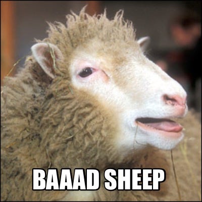 Meme Creator - Funny Baaad sheep Meme Generator at MemeCreator.org!